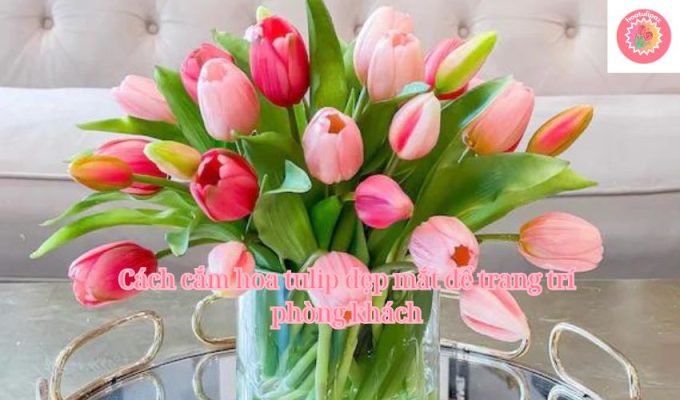 Cách cắm hoa tulip đẹp mắt để trang trí phòng khách