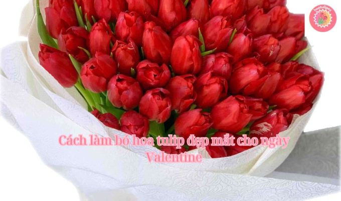 Cách làm bó hoa tulip đẹp mắt cho ngày Valentine