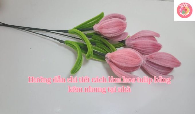 Hướng dẫn chi tiết cách làm hoa tulip bằng kẽm nhung tại nhà