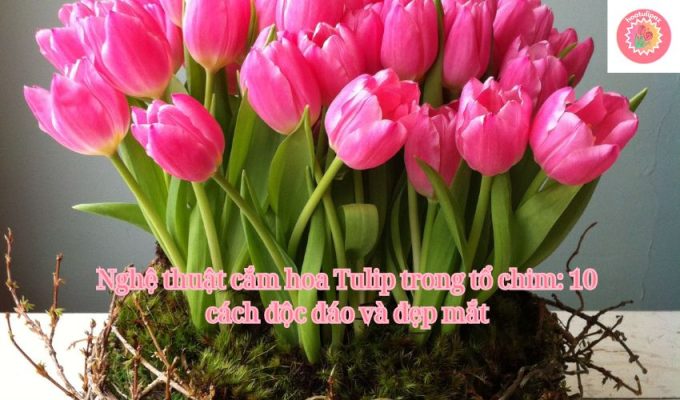 Nghệ thuật cắm hoa Tulip trong tổ chim: 10 cách độc đáo và đẹp mắt