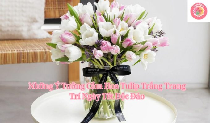 Những Ý Tưởng Cắm Hoa Tulip Trắng Trang Trí Ngày Tết Độc Đáo