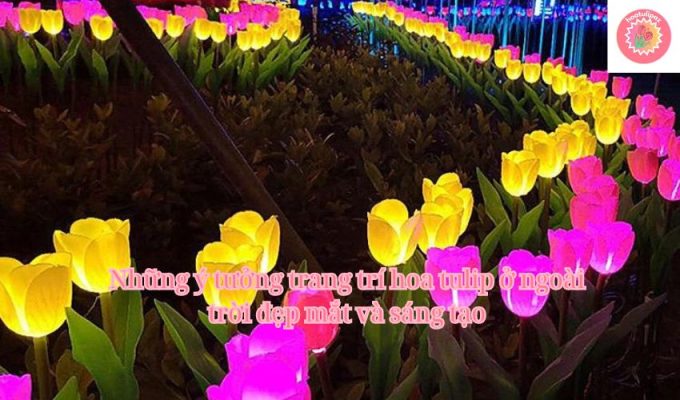 Những ý tưởng trang trí hoa tulip ở ngoài trời đẹp mắt và sáng tạo