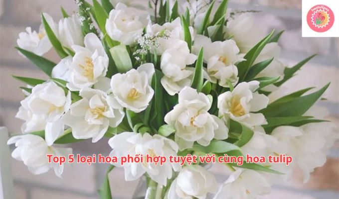 Top 5 loại hoa phối hợp tuyệt vời cùng hoa tulip